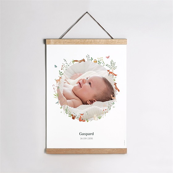 Geburtsposter Kleine Waldtiere