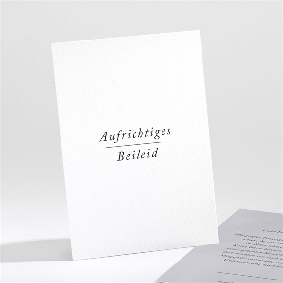 Beileidskarte Trauer Abschied ref.N211352