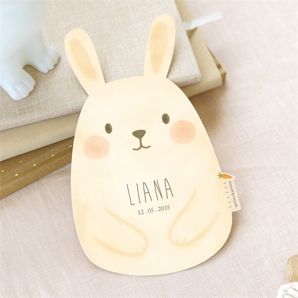 Geburtskarte Kleines Häschen ref.D13101